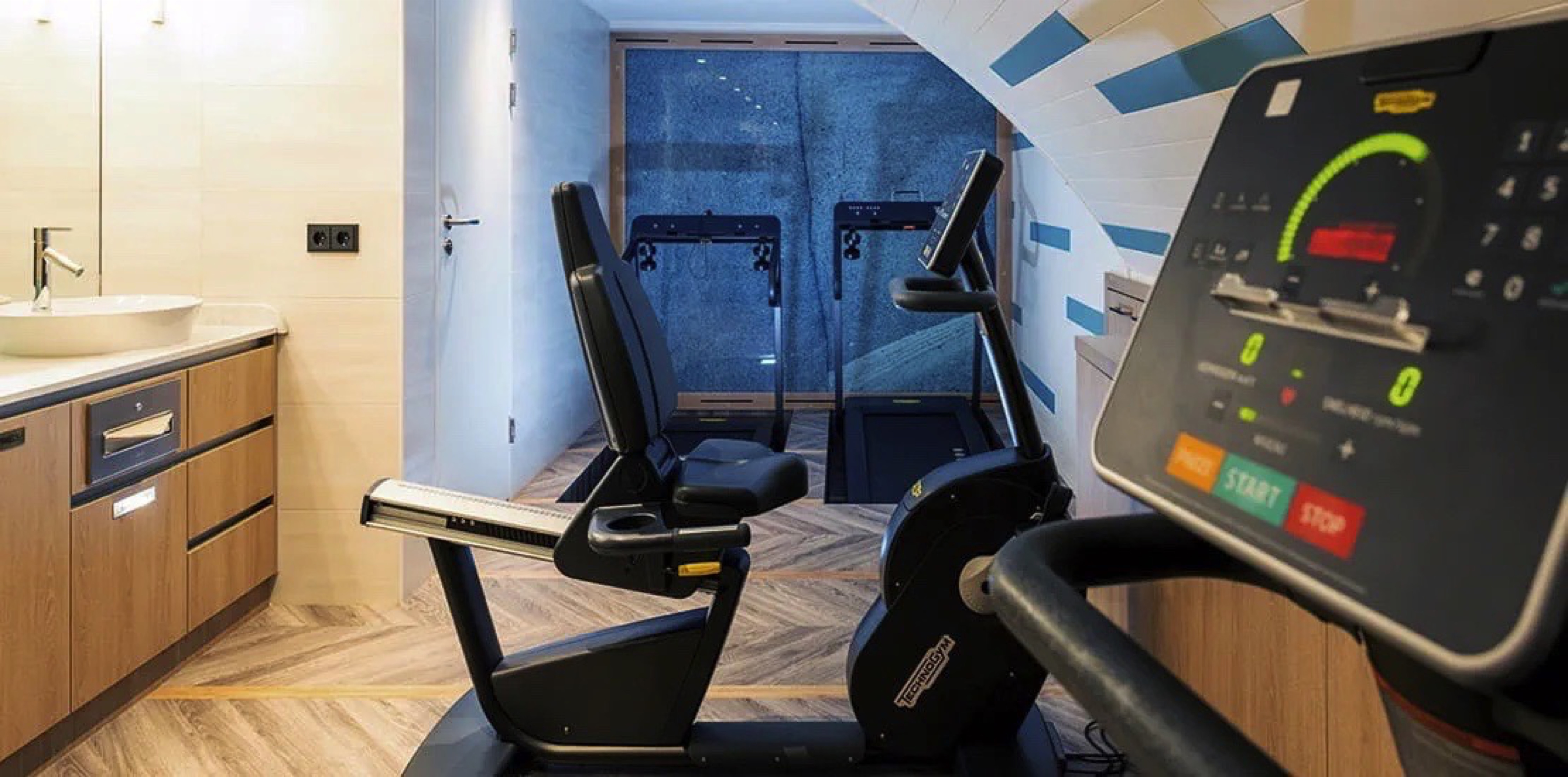 Spirit of the Rhine - Gym